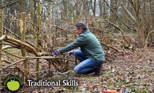 Hedge-Laying Workshops