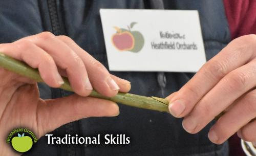 Fruit Tree Grafting Workshop