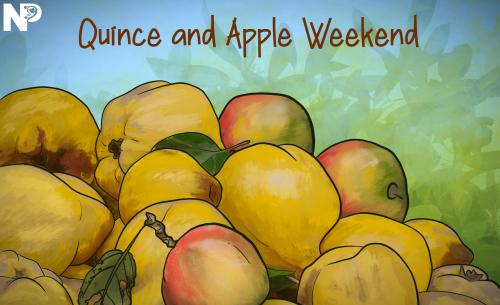 Quince and Apple Weekend