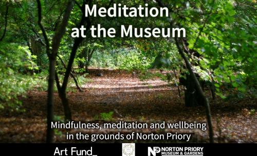 Meditation at the Museum