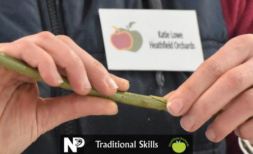 Fruit Tree Grafting Workshop