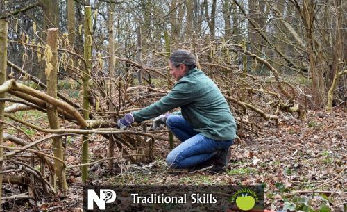 Hedge-Laying Workshops