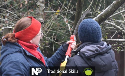 Fruit Tree Pruning Workshops