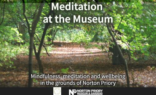 Meditation at the Museum