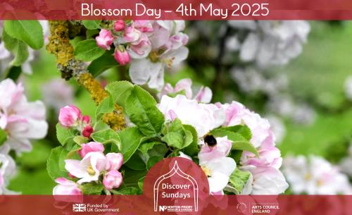 Orchard Blossom Day 