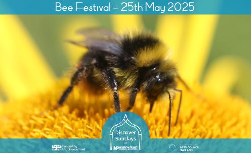 Bee Festival