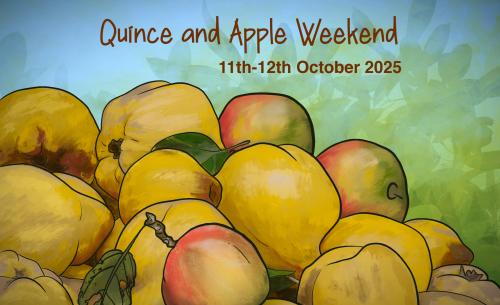 Quince and Apple Weekend