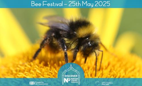 Bee Festival